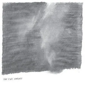 Singing, dancing, drinking